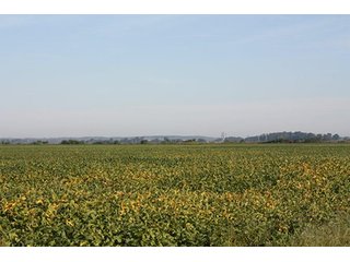 Property photo 42 - ILLINOIS LAND AUCTION - 705+/- ACRES OFFERED IN 16 TRACTS IN EDWARDS COUNTY, ILLINOIS